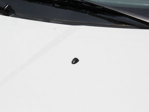 20141.5L քӸж (ji)^