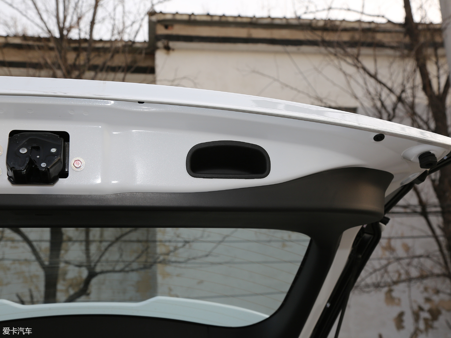 2019��W�{�� 2.4L ������а� ��V