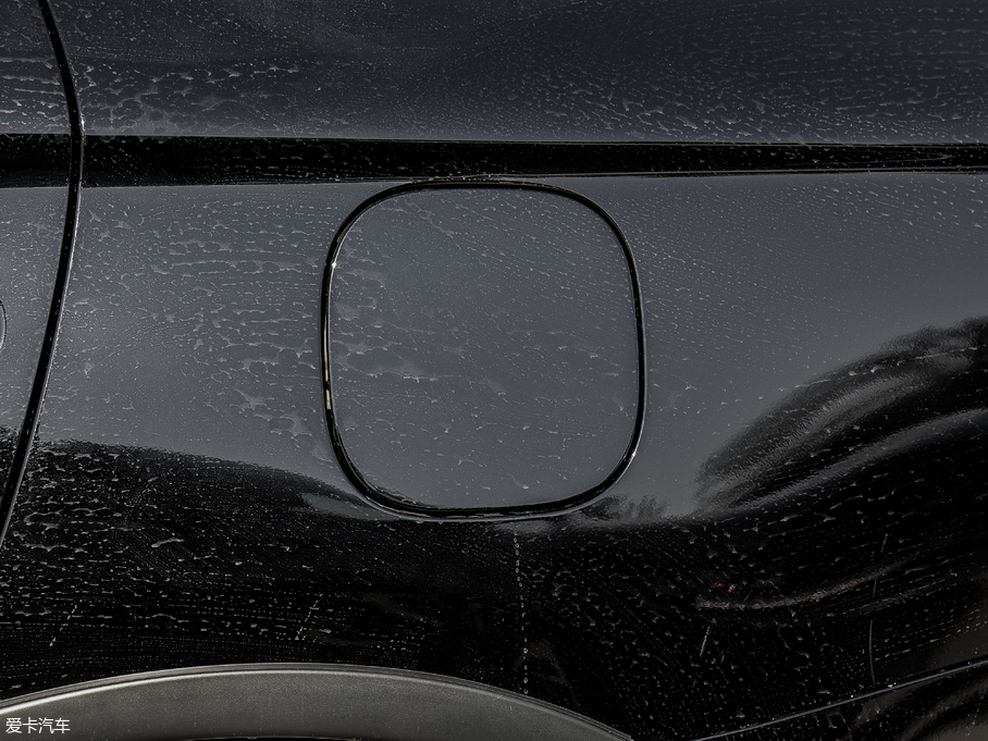 2019W{(ln) 2.0L (q) V