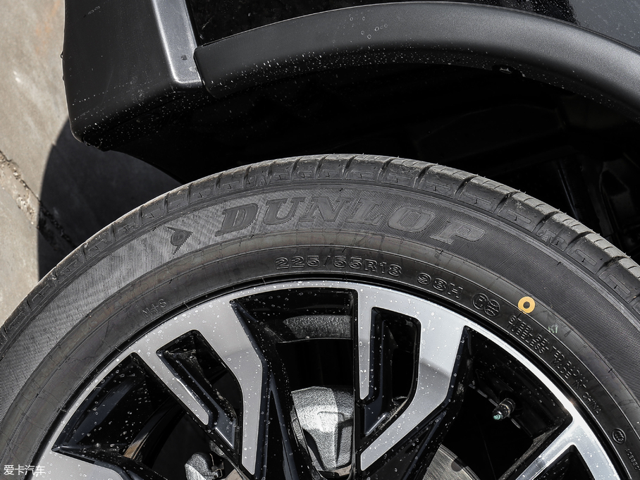 2019W{(ln) 2.0L (q) (gu)V