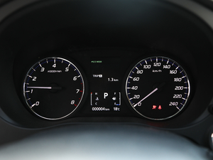 2019款2.0L 两驱畅享版 国V 仪表