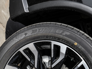 20192.0L (q) V ݆̥Ʒ