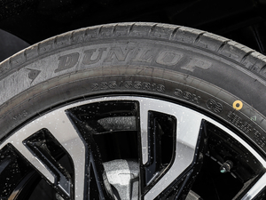 20192.0L (q) V ݆̥ߴ