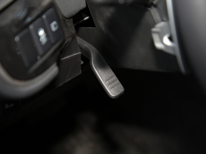 20192.4L (q) (gu)V g