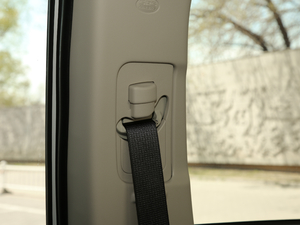 20192.4L (q) (gu)V g