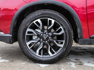 2019款2.0L 两驱畅享版 国V 轮圈