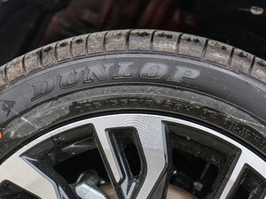 20192.0L (q) V ݆̥ߴ