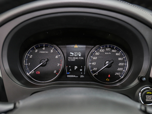 2019款2.0L 两驱畅享版 国V 仪表