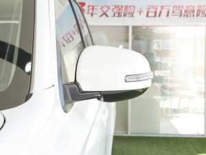 2021款2.0L 两驱畅享版 5座 后视镜