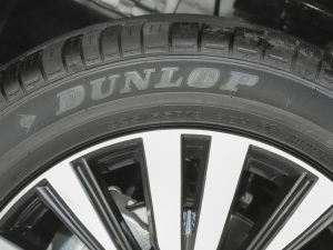 20212.0L 򌕳 5 ݆̥Ʒ