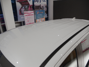 2021款2.0L 两驱畅行版 5座 车顶