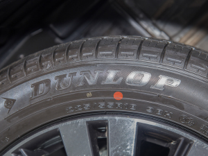 20212.0L 򌕳 7 ݆̥Ʒ