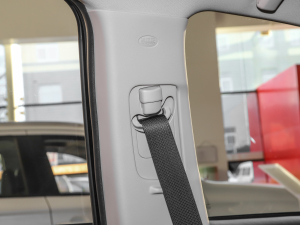 2021Ŀ 2.0L 򌕳 7 g