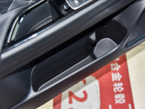 2021款改款 2.0L 两驱畅享版 5座 前门储物空间
