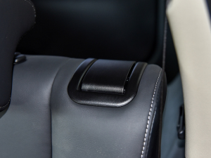 2021Ŀ 2.0L 򌕳 5 g