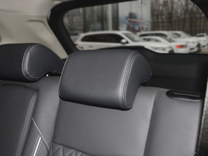 2021Ŀ 2.0L 򌕳 5 g