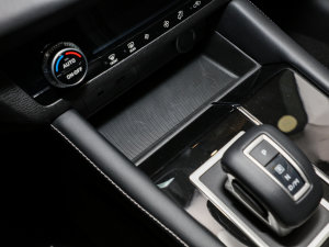 20231.5T CVT(q)׿Խ 5 g