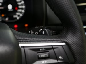 20231.5T CVT(q)ҫ 7 п؅^(q)