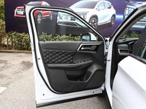 2023款1.5T CVT四驱尊耀版 7座 驾驶位车门