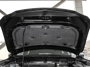 2019款2.5L 两驱尊贵型 其它