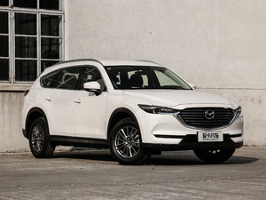 2019款2.5L 两驱豪华型 整体外观