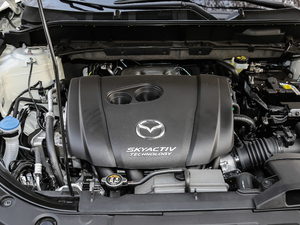 2019款2.5L 两驱豪华型 其它
