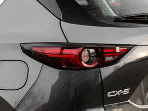 20182.5L Ԅ(q)i-ELOOP (ji)^