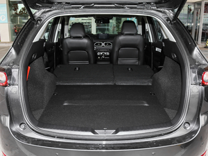 20182.5L Ԅ(q)i-ELOOP g