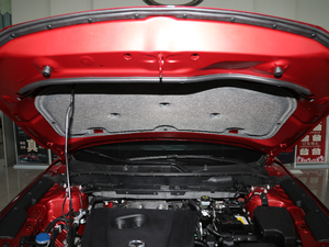 2019ƿذ 2.0L Ԅ(dng)(q) 