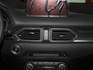 2019ƿذ 2.0L Ԅ(dng)(q) {(dio)L(fng)