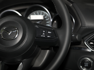 2019ƿذ 2.0L Ԅ(dng)(q) п؅^(q)