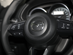 2019ƿذ 2.0L Ԅ(dng)(q) п؅^(q)