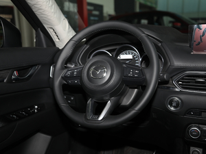 2019ƿذ 2.0L Ԅ(dng)(q) п؅^(q)