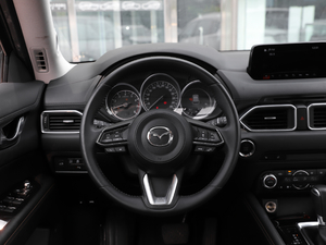 2019ƿذ 2.5L ԄŞ P