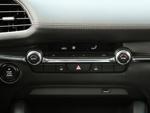 2020 2.0L Ԅ(dng)|(zh)Ű {(dio){(dio)(ji)