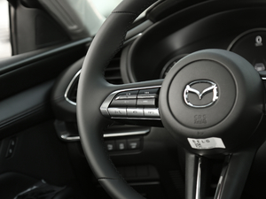 2020 2.0L Ԅ(dng)|(zh)Ű {(dio)(ji)