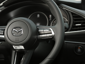 2020 2.0L Ԅ(dng)|(zh)Ű п؅^(q)