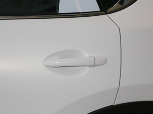 2020Ŀ 2.0L Ԅ(dng)(q) {T