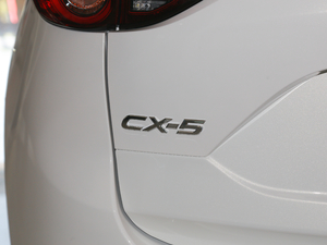 2020Ŀ 2.0L Ԅ(dng)(q) (x)(ji)^