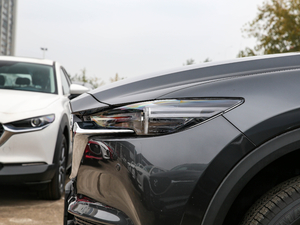 2020Ŀ 2.0L ԄӃǻ ^