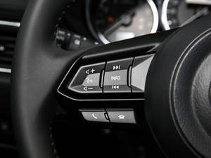 2020Ŀ 2.0L ԄӃǻ п؅^(q)