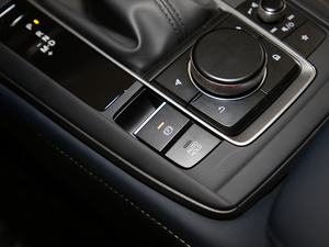 2020款2.0L 自动质悦型 驻车制动器
