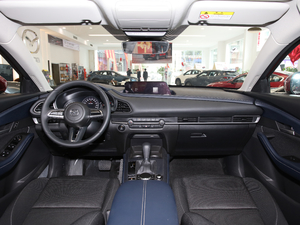 2020款2.0L 自动质悦型 内饰全景