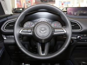 2020款2.0L 自动质悦型 方向盘