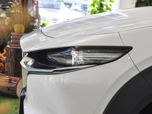 20202.0L Ԅ(dng)А (x)(ji)^