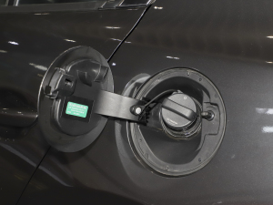 20212.0L Ԅ|(zh)Ű w