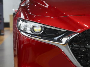 20212.0L Ԅ(dng)|(zh)Ű (x)(ji)^