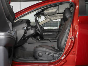 20212.0L Ԅ|Ű ǰſg