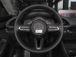 20212.0L Ԅ|(zh)Ű P