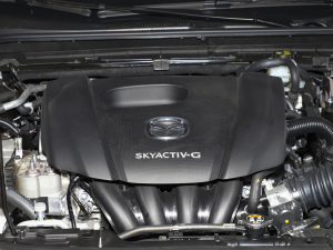 20211.5L Ԅ(dng)|(zh) 